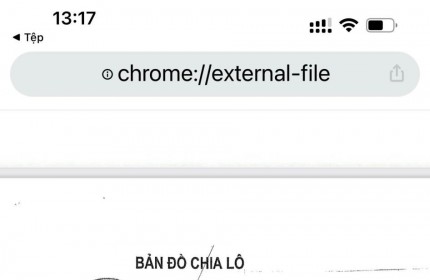 Cc cần bán gấp 2 lô đất đấu giá trục đường Chi Đông - TT Chi Đông buôn bán cực sầm uất đường cực rộng